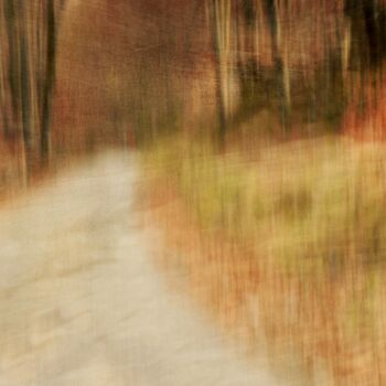 Photographie intitulée "Au bord de la route…" par Philippe Berthier, Œuvre d'art originale, Photographie numérique