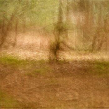 Фотография под названием "Histoire d'arbres..…" - Philippe Berthier, Подлинное произведение искусства, Цифровая фотография