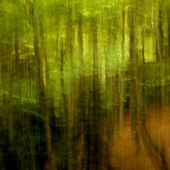 Photography titled "LA LIGNE VERTE.....…" by Philippe Berthier, Original Artwork, Digital Photography