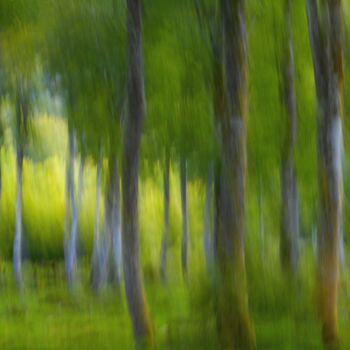 Photographie intitulée "Là ou l'herbe pouss…" par Philippe Berthier, Œuvre d'art originale, Photographie numérique