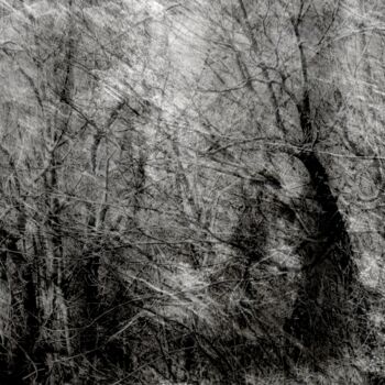 Photography titled "Contre-Défragmentat…" by Philippe Berthier, Original Artwork, Manipulated Photography
