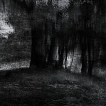 Photography titled "the black forest...…" by Philippe Berthier, Original Artwork, Digital Photography
