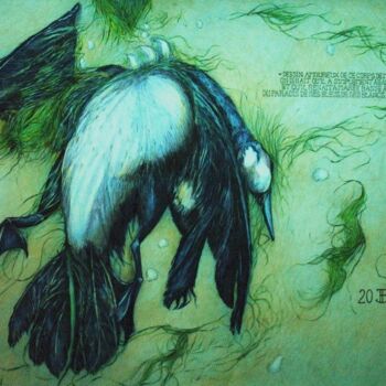 Рисунок под названием "le cormoran mort" - Philippe Brobeck, Подлинное произведение искусства, Карандаш