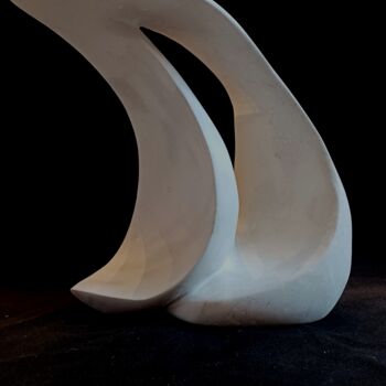 Sculpture titled "Wave" by Philippe Cotin, Original Artwork, Stone