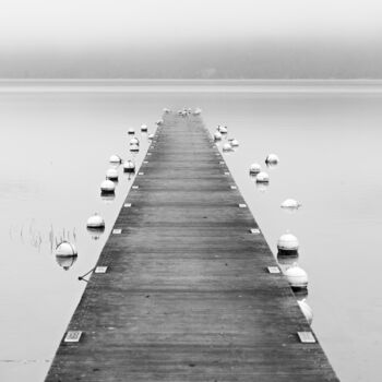摄影 标题为“annecy, lac.jpg” 由Philippe Nannetti, 原创艺术品