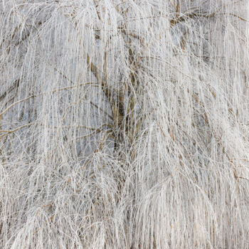 "arbre-et-givre.jpg" başlıklı Fotoğraf Philippe Nannetti tarafından, Orijinal sanat