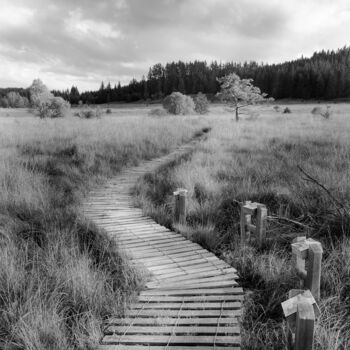 Fotografie getiteld "Corrèze tourbière.j…" door Philippe Nannetti, Origineel Kunstwerk