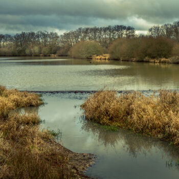 Photographie intitulée "etang-sologne.jpg" par Philippe Nannetti, Œuvre d'art originale