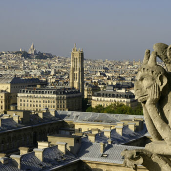 Photography titled "vue notre dame.jpg" by Philippe Nannetti, Original Artwork