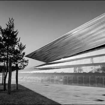 Fotografia intitulada "Je marche seul" por Philippe Rozier (Photo-EOS), Obras de arte originais, Fotografia digital