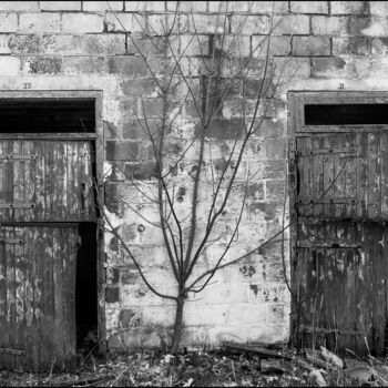 Fotografie getiteld "portes d'écuries" door Philippe Rozier (Photo-EOS), Origineel Kunstwerk, Digitale fotografie