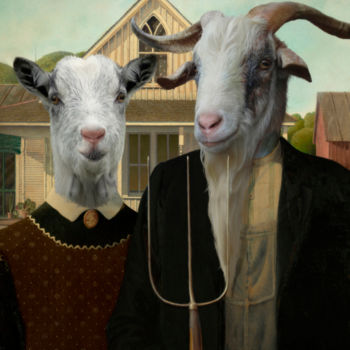 Photography titled "AMERICAN GOAT IC" by Philippe Tyberghien, Original Artwork