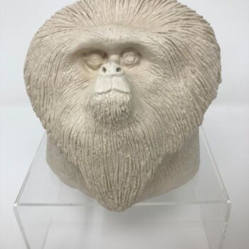 雕塑 标题为“TAMARIN LION” 由Philippe Vanseghbroeck, 原创艺术品, 粘土