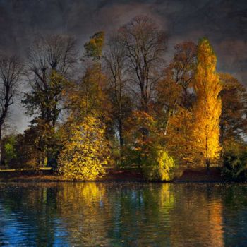 Photographie intitulée "Bois de Boulogne" par Philippe Bousseau, Œuvre d'art originale, Photographie numérique