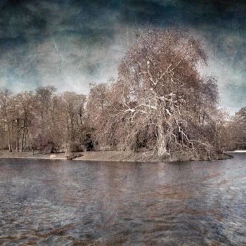 Fotografía titulada "Lac du Bois de Boul…" por Philippe Bousseau, Obra de arte original, Fotografía digital