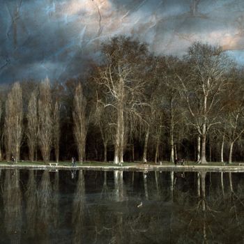 Fotografie getiteld "Plan d'eau du Parc…" door Philippe Bousseau, Origineel Kunstwerk, Digitale fotografie