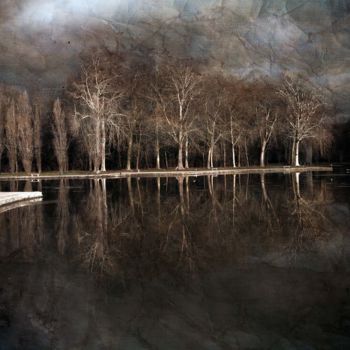 Photography titled "Plan d'eau du Parc…" by Philippe Bousseau, Original Artwork, Digital Photography