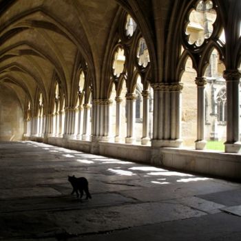 Fotografie mit dem Titel "Le chat" von Josiane Karanian Boularot, Original-Kunstwerk