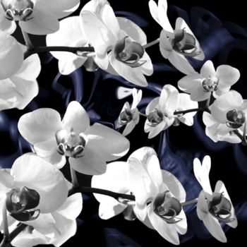 Photographie intitulée "La nuit des orchidé…" par Josiane Karanian Boularot, Œuvre d'art originale
