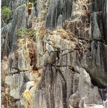 Photography titled "Falaises boisées" by Michel Hervo, Original Artwork