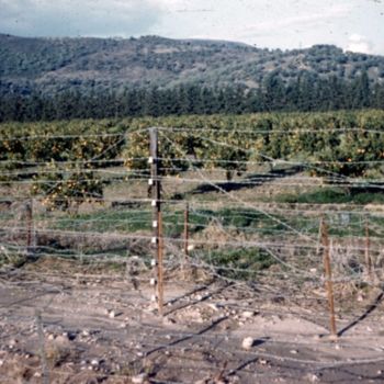 Fotografia zatytułowany „Barrage électrifié…” autorstwa Michel Hervo, Oryginalna praca