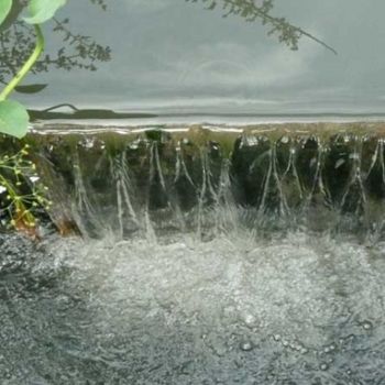 Fotografia zatytułowany „Ruisselet Beuvron e…” autorstwa Michel Hervo, Oryginalna praca