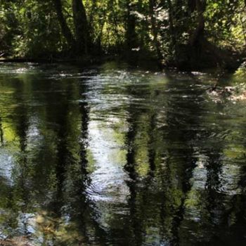 Fotografia intitulada "Rivière d'humeur so…" por Michel Hervo, Obras de arte originais