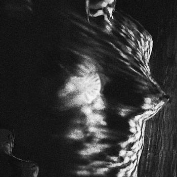 Photographie intitulée "Tigresse" par Michel Hervo, Œuvre d'art originale