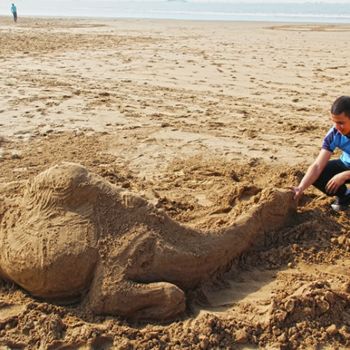 Photographie intitulée "Le-chameau-de-sable…" par Michel Hervo, Œuvre d'art originale