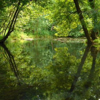 Photographie intitulée "Charente Maritime-1…" par Michel Hervo, Œuvre d'art originale