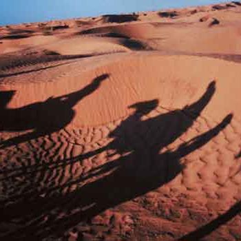 "Caravane Tunisie" başlıklı Fotoğraf Michel Hervo tarafından, Orijinal sanat