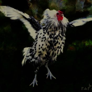 Digital Arts titled "Le coq" by Pia De Panicis, Original Artwork, Digital Painting
