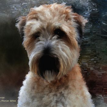 Digital Arts titled "Wheaten Terrier" by Pia De Panicis, Original Artwork, Digital Painting