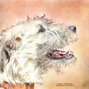 Arts numériques intitulée "Orphée, Wolfhound" par Pia De Panicis, Œuvre d'art originale, Peinture numérique