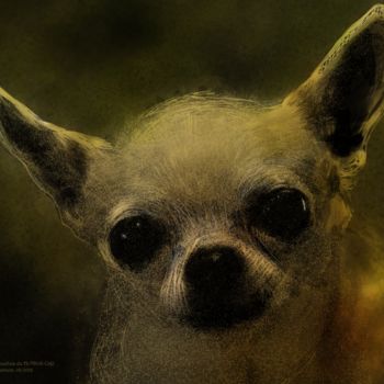 "Le petit chihuahua…" başlıklı Dijital Sanat Pia De Panicis tarafından, Orijinal sanat, Dijital Resim