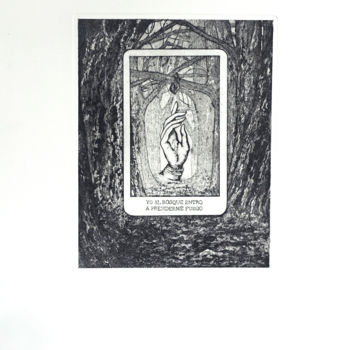 Incisioni, stampe intitolato "Lobo no te temo / W…" da Pia Nicotra, Opera d'arte originale, Acquaforte