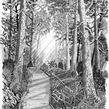 Drawing titled "Passerelle sous bois" by Pic Art, Original Artwork, Ink