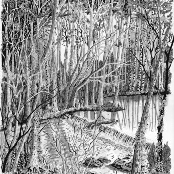 "Etang et forêt" başlıklı Resim Pic Art tarafından, Orijinal sanat, Mürekkep