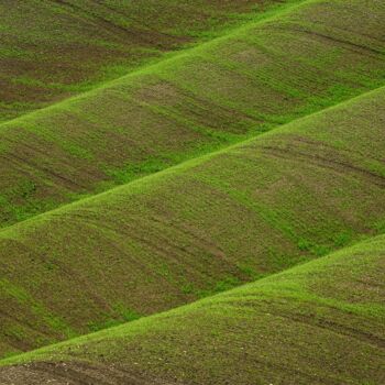 Фотография под названием "Tuscany's landscape" - Pier Maulini, Подлинное произведение искусства, Цифровая фотография
