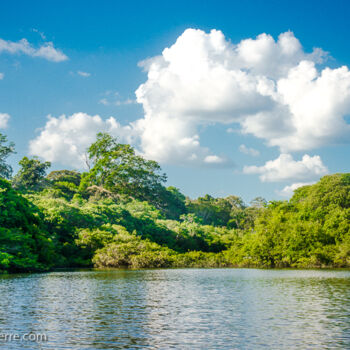 Fotografia zatytułowany „Rio negro Amazonia” autorstwa Pierre Assemat (oeildepierre), Oryginalna praca, Fotografia cyfrowa