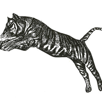 Printmaking titled "Tigre du Bengale" by Pierre Bara, Original Artwork, Linocuts