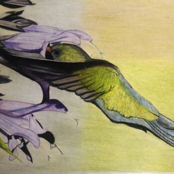 Tekening getiteld "Petit oiseau" door Pierre Bayet, Origineel Kunstwerk, Potlood