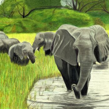 Dessin intitulée "Eléphants en balade" par Pierre Bayet, Œuvre d'art originale, Crayon