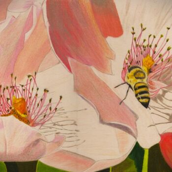 Drawing titled "Abeille en visite" by Pierre Bayet, Original Artwork, Pencil