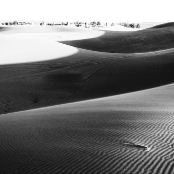 Fotografia intitolato "Vagues dunes" da Pierre Coiffard, Opera d'arte originale, Fotografia digitale