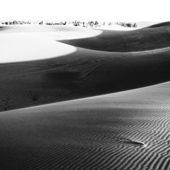 Photography titled "Vagues dunes" by Pierre Coiffard, Original Artwork, Digital Photography