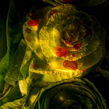 Fotografía titulada "Le sang des fleurs…" por Pierre Duquoc, Obra de arte original, Fotografía digital