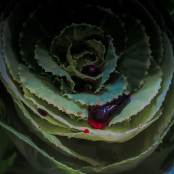 Fotografia intitulada "Le sang des fleurs…" por Pierre Duquoc, Obras de arte originais, Fotografia digital