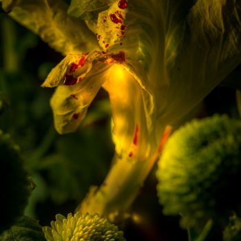 Photographie intitulée "Le sang des fleurs…" par Pierre Duquoc, Œuvre d'art originale, Photographie numérique