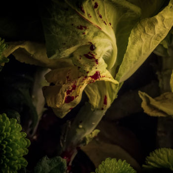 "Le sang des fleurs…" başlıklı Fotoğraf Pierre Duquoc tarafından, Orijinal sanat, Dijital Fotoğrafçılık